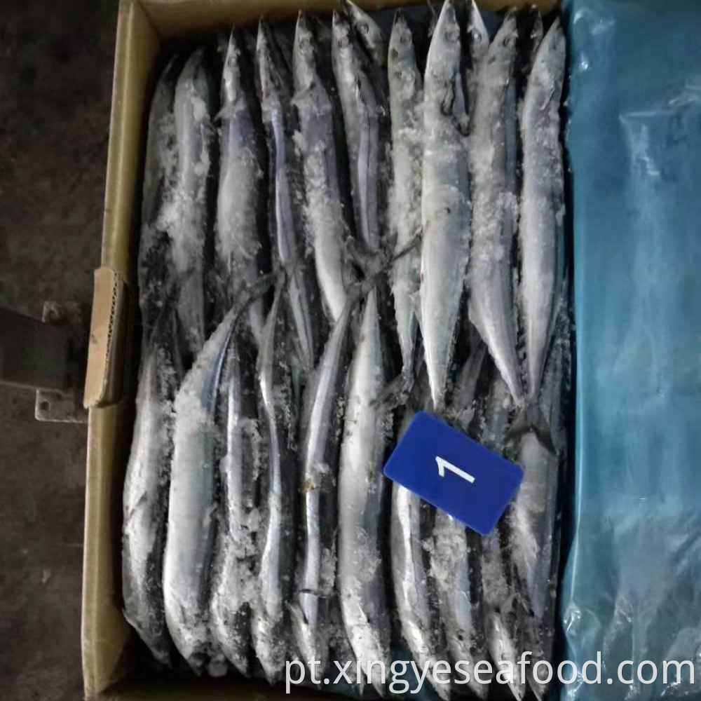 Frozen Saury